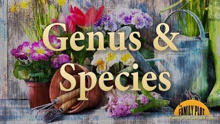 Genus and Species – Garden Glossary [upl. by Broderic329]