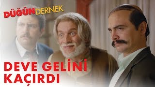 Düğün Dernek  Deve Gelini Kaçırdı [upl. by Zsuedat]