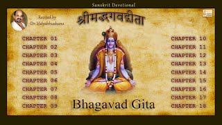 ShriMadh Bhagavad Gita Complete Recitation 0118  Dr Vidyabhushana  Geetopadesham [upl. by Kadner]