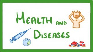 GCSE Biology  Health and Disease 33 [upl. by Ahsinar288]