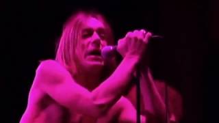 Iggy Pop Live at AB  Ancienne Belgique [upl. by Haines]