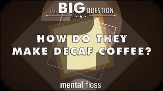 How Do They Make Decaf Coffee  Big Questions  Ep1 [upl. by Aizek]