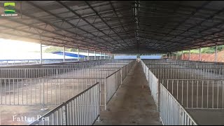 We can provide professional pig farm design planFREE [upl. by Ecinrahs]