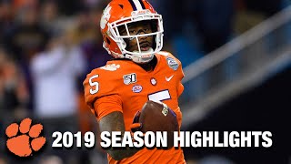 Tee Higgins 2019 Season Highlights  Clemson WR [upl. by Orvil]