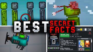 BEST SECRET FACTS IN MELON PLAYGROUND [upl. by Nylla]