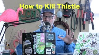 How to Kill Thistle in the Lawn  Controlling Thistle  Canada Thistle  Bull Thistle [upl. by Nyllek842]