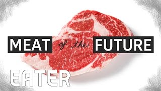 The Meat of the Future How LabGrown Meat Is Made [upl. by Krucik159]