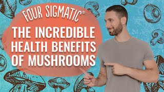 Four Sigmatic The Incredible Health Benefits Of Mushrooms [upl. by Terces830]