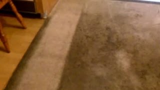 como lavar alfombras o carpetas  How to clean carpet [upl. by Ennaeel623]