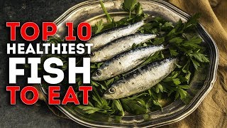 Top 10 Healthiest Fish To Eat [upl. by Erbas278]