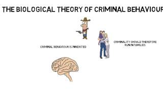 GCSE Psychology Criminal behaviour Biological theory [upl. by Lussier]