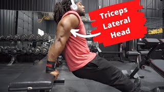 3 Exercises For Thick Triceps  Triceps Lateral Head [upl. by Kimura]