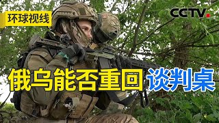 俄乌释放和谈信号 美欧援乌调门降温？20240725  CCTV中文《环球视线》 [upl. by Luapnhoj8]