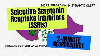 2Minute Neuroscience Selective Serotonin Reuptake Inhibitors SSRIs [upl. by Nylarahs]