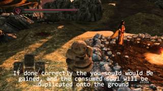 Dark Souls 2 Soul Duplication Glitch  cheap easy imperfect and ineffective tutorials [upl. by Namsaj]