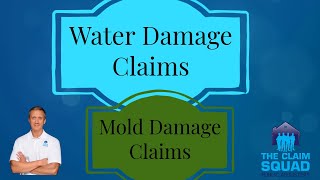 Water Damage Claims and Mold Damage Claims [upl. by Lashar]