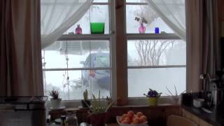 Snowstorm From Inside the House [upl. by Dottie371]