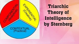 Triarchic Theory of Intelligence by Robert Sternberg [upl. by Sergu308]