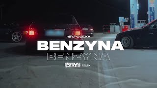 Mr Polska  Benzyna Patryś Remix [upl. by Ilatfan633]