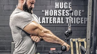 5 “Horseshoe” Tricep Exercises YOU’RE MISSING THESE [upl. by Gayler88]