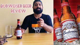 Budweiser Lager Beer Review l Thirsty Thursday budweiser [upl. by Llerrat]