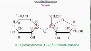 Identifying anomeric carbons in sugars [upl. by Llatsyrk]