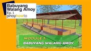 How to Raise Pigs Babuyang Walang Amoy or Odorless Pigpen Episode 1  Pinoy How To [upl. by Aela]