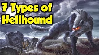 What Are Hellhounds  7 Types of Hellhound From Great Britain amp The Rest of Europe [upl. by Hudis]