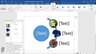 How to Make a Collage in Word [upl. by Camellia]