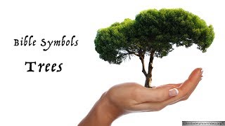 Bible Symbols Trees [upl. by Ramin]