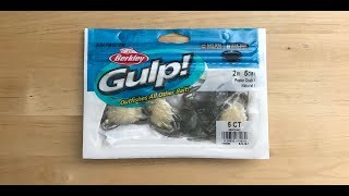 Berkley Gulp Peeler Crab Pros and Cons [upl. by Nicolette]