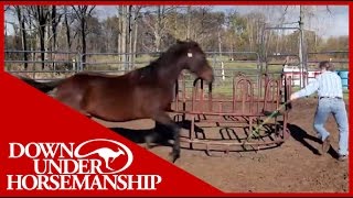 Clinton Anderson Presents Running Scared Training An Aggressive Horse [upl. by Anon]