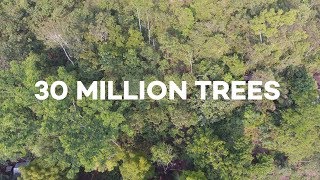 Ecosia users have just planted 30 MILLION trees [upl. by Naol]