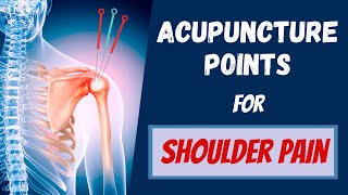 5 Shu Transporting points Acupuncture [upl. by Adlitam]