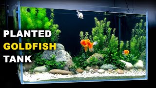 Aquascape Tutorial PLANTED GOLDFISH Aquarium The ORanchu Crew How To Full Step By Step Guide [upl. by Ociredef682]