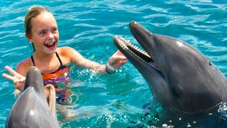 We Play with Dolphins on a Tropical Island Kids Fun TV [upl. by Ettenan]