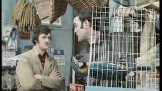 Monty Python The Parrot Sketch amp The Lumberjack Song movie versions HQ [upl. by Hanafee]