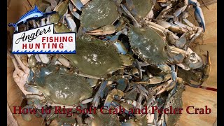 How to Rig Soft and Peeler Crab [upl. by Ardnassac345]