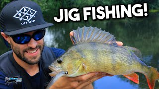 Lure Fishing for Beginners  Perch on Jigs  TAFishing [upl. by Ettenej]