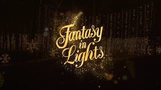 Fantasy In Lights at Callaway Resort amp Gardens [upl. by Tehc]