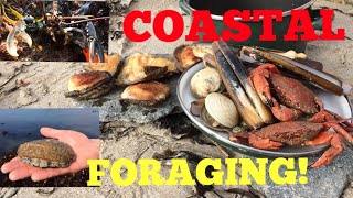 Coastal Foraging  Cook Up On The Beach  Ormers  Abalone  Lobster  Clams and More [upl. by Leimad88]