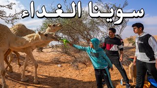 الجمال دخلوا على الكشتة حقتنا🐪😂 [upl. by Allcot]