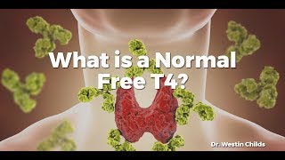 What is a Normal Free T4 [upl. by Jeramie]