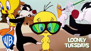 Looney Tuesdays  The Cat amp The Canary  Looney Tunes  WB Kids [upl. by Draned]