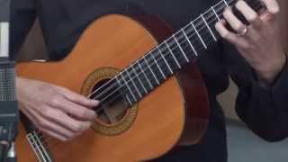 Classical Guitar Lesson 1 [upl. by Banwell]