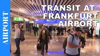 TRANSIT WALK AT FRANKFURT Airport FRA Terminal 1  Connection Flight Transfer Arriving amp Departing [upl. by Ingrim]