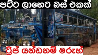 පට්ට අඩුවට බස් එකක්  BUS for sale Srilanka  Wahana aduwata  Ikmanlk  Pat patlk  IKMAN SALES [upl. by Alexandre]