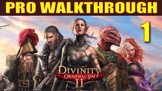 Divinity Original Sin 2 Walkthrough Part 1  5 Things They Dont Tell You in Character Creation [upl. by Aem579]