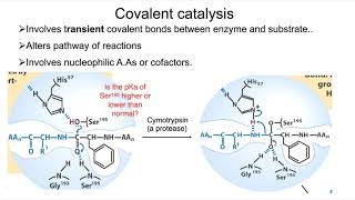 Strategies of enzyme catalysis [upl. by Ameer]