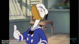 The History of Donald Duck [upl. by Llirrem]